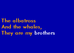 The albatross

And the whales,
They are my brothers