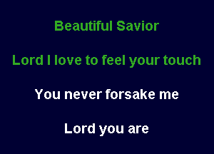 You never forsake me

Lord you are