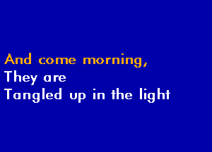 And come morning,

They are
Tangled up in the light