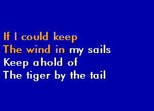 If I could keep

The wind in my sails

Keep ahold of
The tiger by the tail