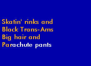 Skatin' rinks and
Black Trans-Ams

Big hair and
Pa rachute pants