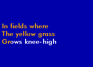 In fields where

The yellow grass

Grows knee- hig h