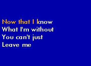 Now that I know
Whai I'm without

You can't just
Leave me