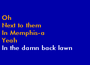 Oh
Next to them

In Memphis-o
Yeah

In the damn back lawn