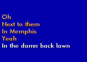 Oh
Next to them

In Memphis
Yeah

In the damn back lawn