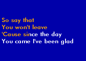 So say that
You won't leave

'Cause since the day
You came I've been glad