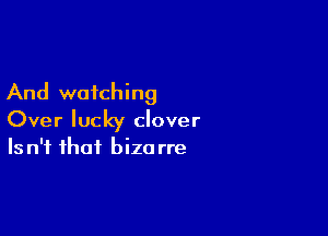 And watching

Over lucky clover
Isn't that bizarre