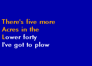 There's five more
Acres in the

Lower forty
I've got to plow