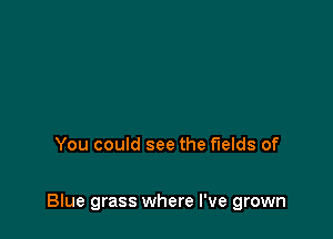 You could see the fields of

Blue grass where I've grown