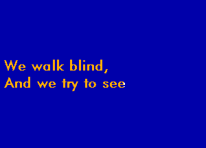 We walk blind,

And we try to see