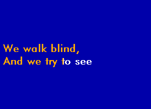 We walk blind,

And we try to see