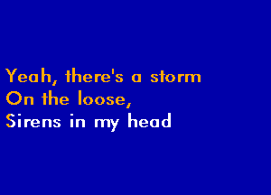 Yeah, there's a storm

On the loose,
Sirens in my head