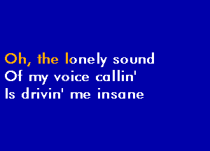 Oh, the lonely sound

Of my voice callin'
Is drivin' me insane