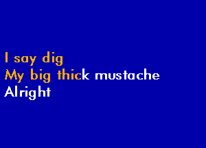 I say dig

My big thick mustache
Alright