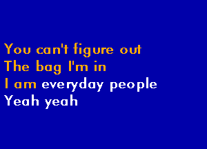 You can't figure out

The bag I'm in

I am everyday people
Yeah yeah