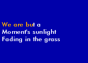 We are but 0

Momenfs sunlight
Fading in the grass
