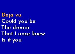 Deia vu
Could you be

The dream
That I once knew

Is it you