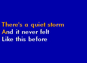 There's a quiet storm

And it never felt
Like this before