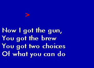 Now I got the gun,

You got the brew
You got two choices
Of what you can do