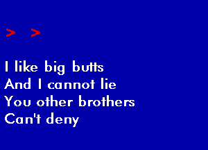 I like big butts

And I cannot lie
You other brothers
Can't deny