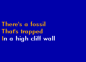 There's a fossil

Thafs trapped
In a high cliH wall