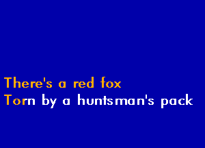 There's a red fox
Torn by a hunisman's pack