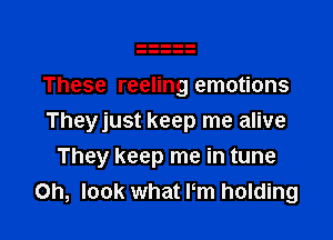 These reeling emotions

Theyjust keep me alive

They keep me in tune
Oh, look what Pm holding