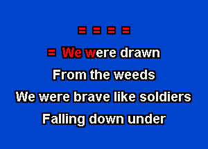 e We were drawn
From the weeds

We were brave like soldiers
Falling down under