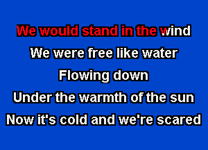 We would stand in the wind
We were free like water
Flowing down
Under the warmth of the sun
Now it's cold and we're scared