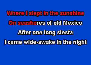 Where I slept in the sunshine
On seashores of old Mexico
After one long siesta

I came wide-awake in the night