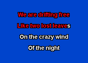 We are drifting free

Like two lost leaves
0n the crazy wind

Of the night