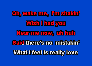 0h, wake me, I'm shakin'
Wish I had you
Near me now, uh huh

Said there's no mistakin'

What I feel is really love I
