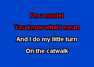 I'm a model

You know what I mean

And I do my little turn

0n the catwalk