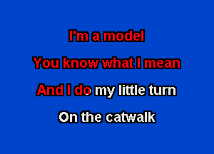 I'm a model

You know what I mean

And I do my little turn

0n the catwalk