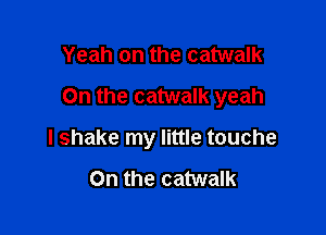 Yeah on the catwalk

On the catwalk yeah

I shake my little touche

0n the catwalk