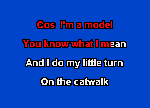 Cos I'm a model

You know what I mean

And I do my little turn

0n the catwalk