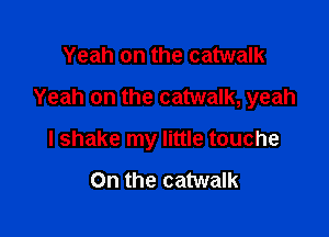 Yeah on the catwalk

Yeah on the catwalk, yeah

I shake my little touche

0n the catwalk