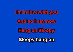 I'm in love with you

And so I say now

Hang on Sloopy

Sloopy hang on