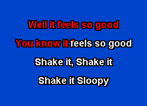 Well it feels so good
You know it feels so good

Shake it, Shake it

Shake it Sloopy