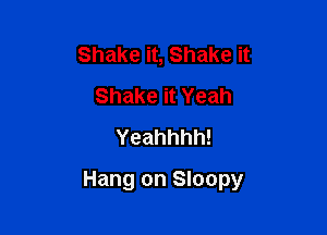 Shake it, Shake it
Shake it Yeah
Yeahhhh!

Hang on Sloopy