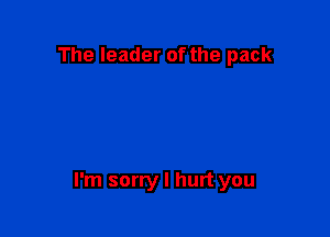 The leader of the pack

I'm sorry I hurt you