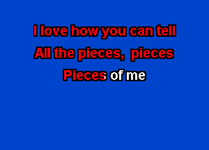 I love how you can tell

All the pieces, pieces

Pieces of me