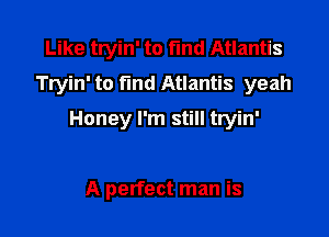 Like tryin' to find Atlantis
Tryin' to fund Atlantis yeah

Honey I'm still tryin'

A perfect man is