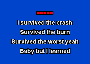 I survived the crash

Survived the burn
Survived the worst yeah
Baby but I learned