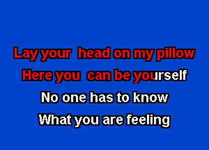 Lay your head on my pillow

Here you can be yourself

No one has to know
What you are feeling