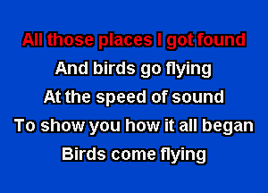 All those places I got found
And birds go flying
At the speed of sound
To show you how it all began

Birds come flying I