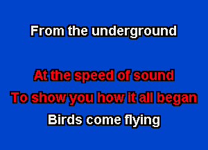 From the underground

At the speed of sound
To show you how it all began

Birds come flying
