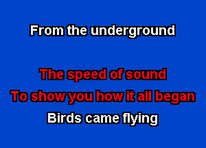 From the underground

The speed of sound
To show you how it all began

Birds came flying