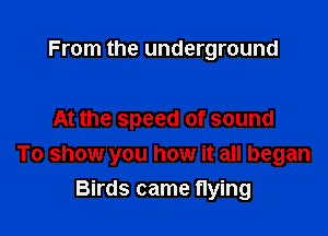 From the underground

At the speed of sound
To show you how it all began

Birds came flying