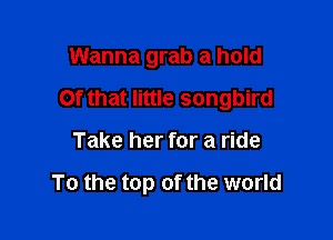 Wanna grab a hold
Of that little songbird

Take her for a ride

To the top of the world